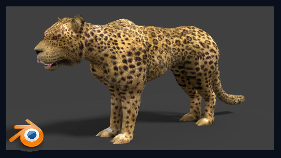 leopard cheetah 3D model_1