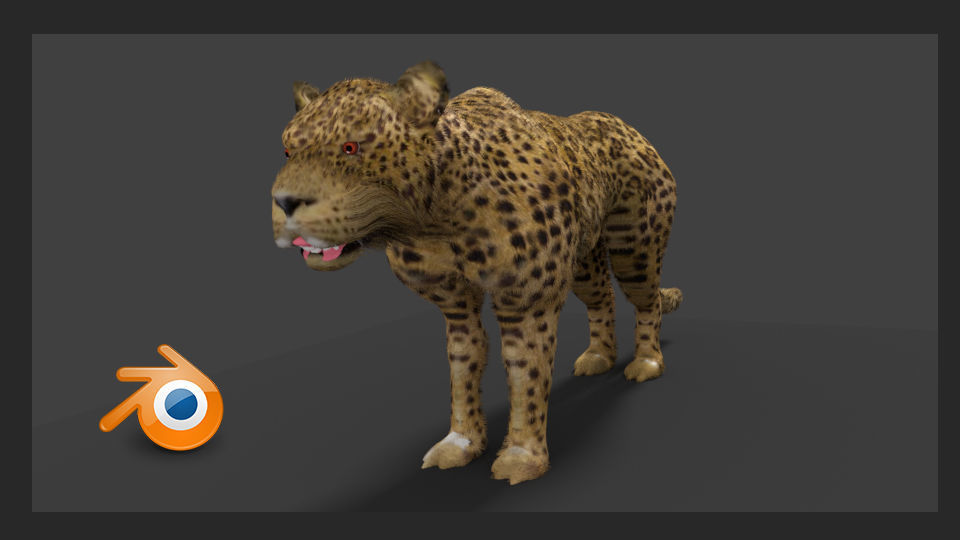 leopard cheetah 3D model_5