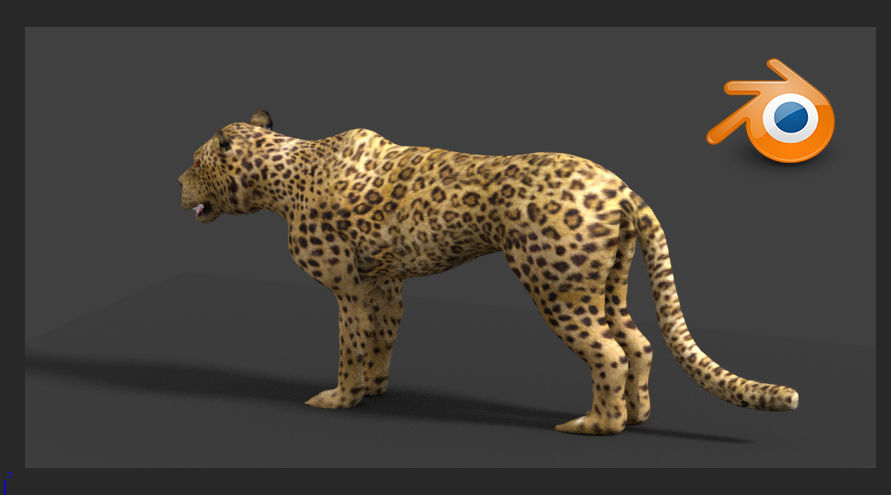 leopard cheetah 3D model_8