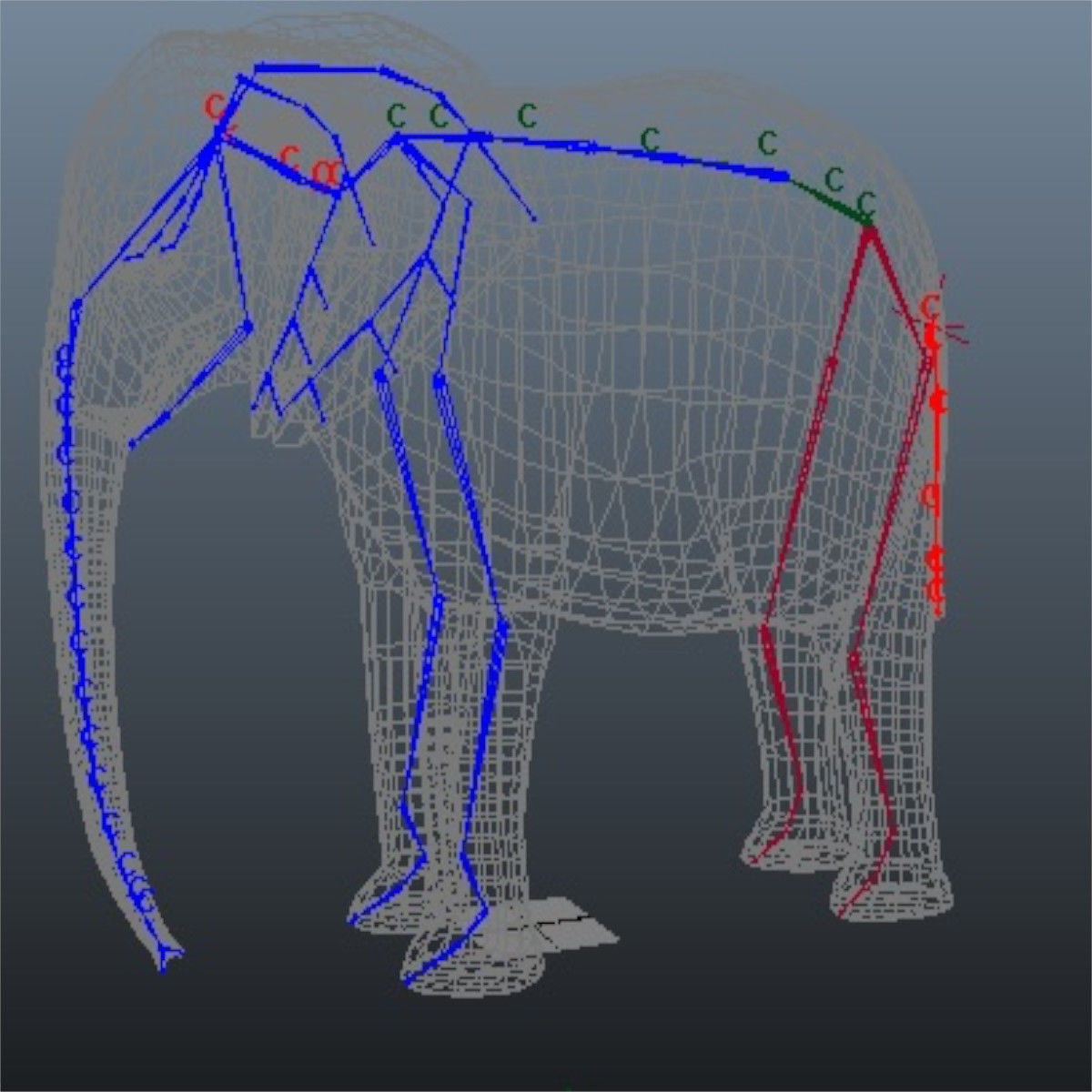 Rigged-Animated Elephant 3D model_8