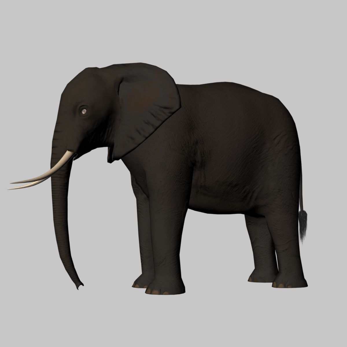 Rigged-Animated Elephant 3D model_5