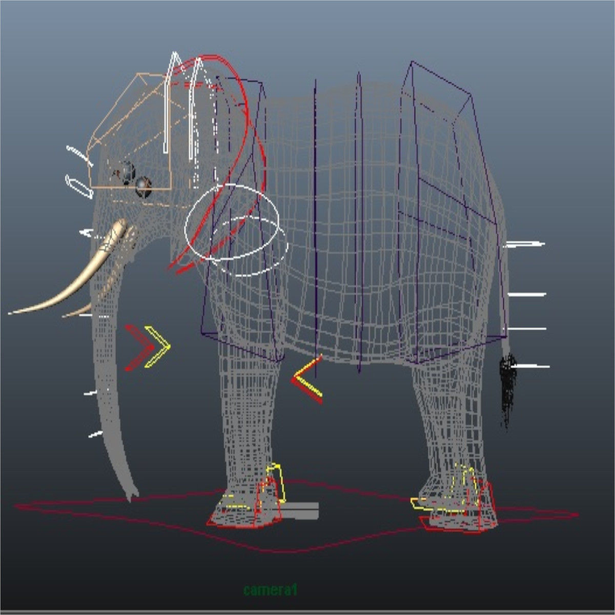 Rigged-Animated Elephant 3D model_7
