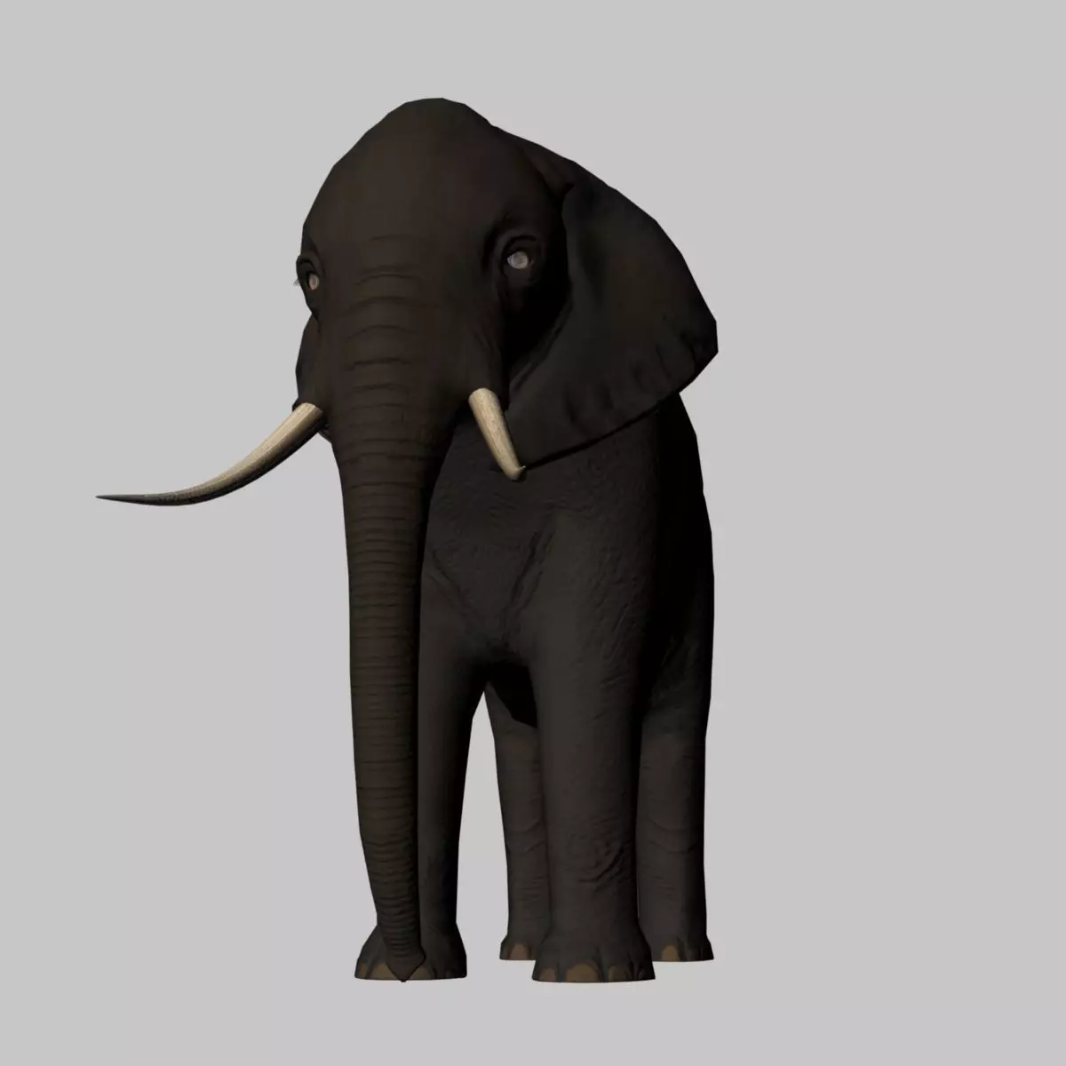 Rigged-Animated Elephant 3D model_0