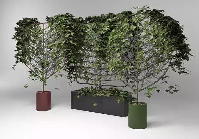 Botanical Planter by Len