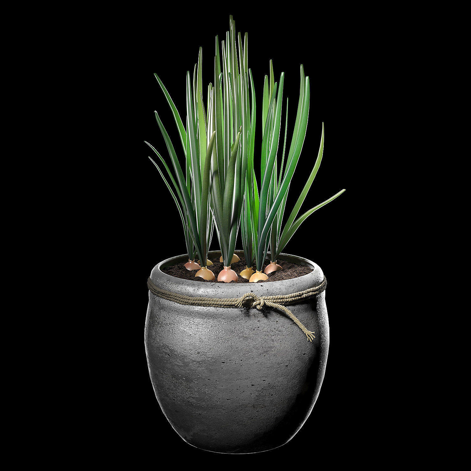 Decorative set 002  3D model_4