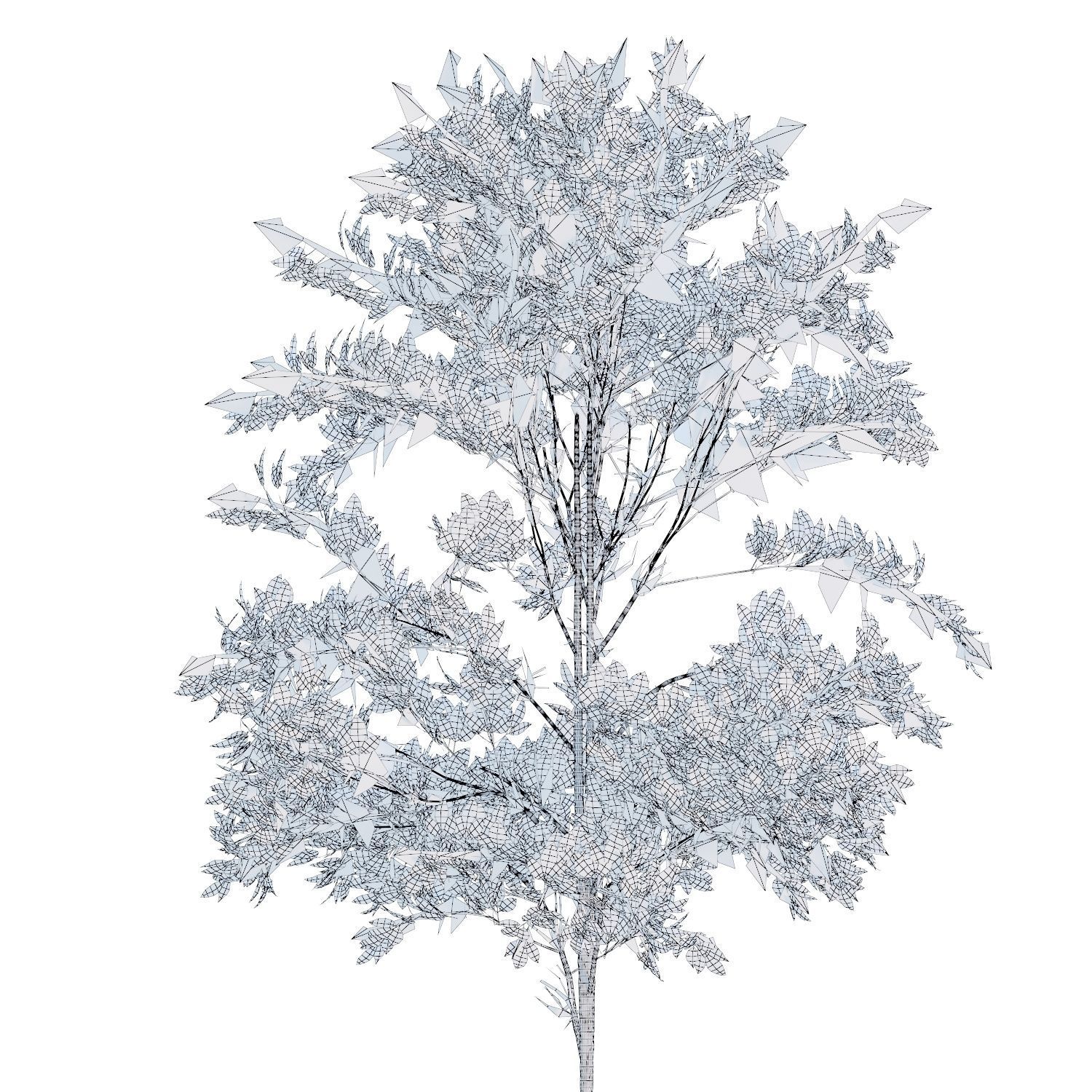 Young trees 01-04 3D Model Collection_39