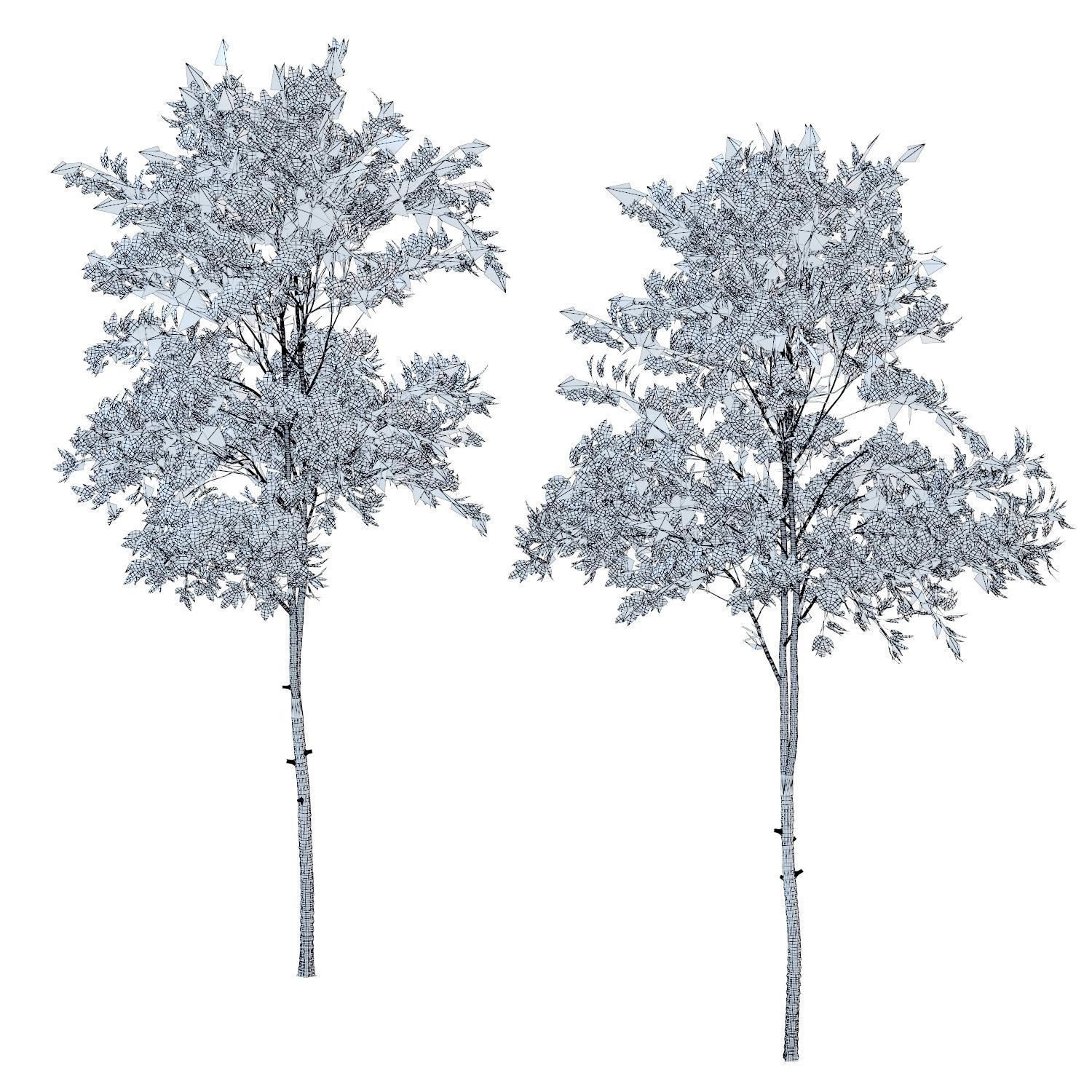 Young trees 01-04 3D Model Collection_32