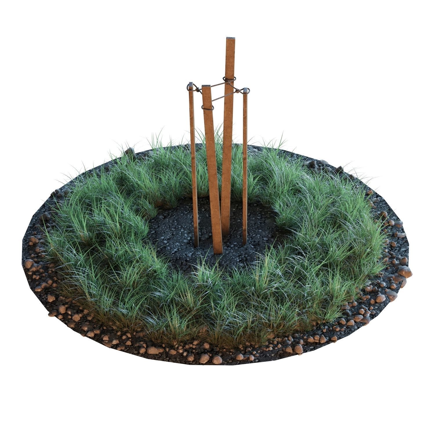 Young trees 01-04 3D Model Collection_22