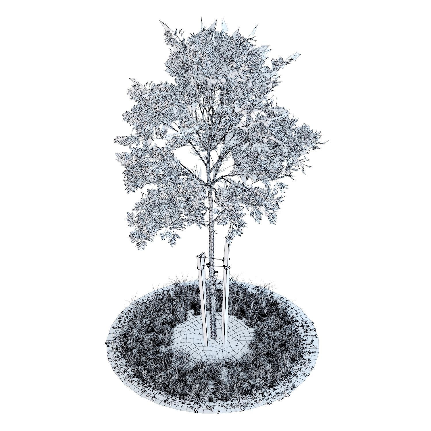 Young trees 01-04 3D Model Collection_9
