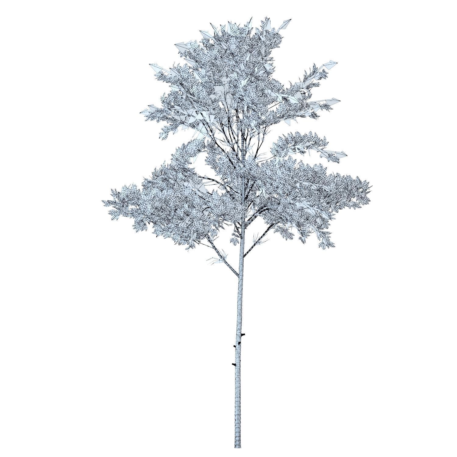 Young trees 01-04 3D Model Collection_16