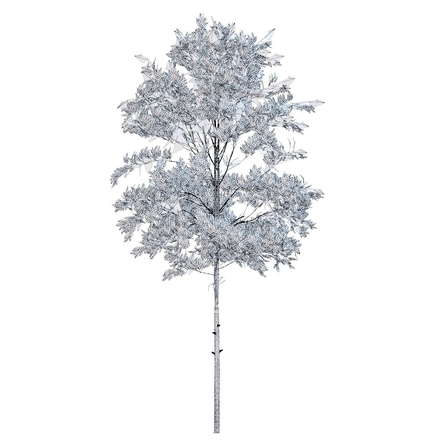 Young trees 01-04 3D Model Collection_36