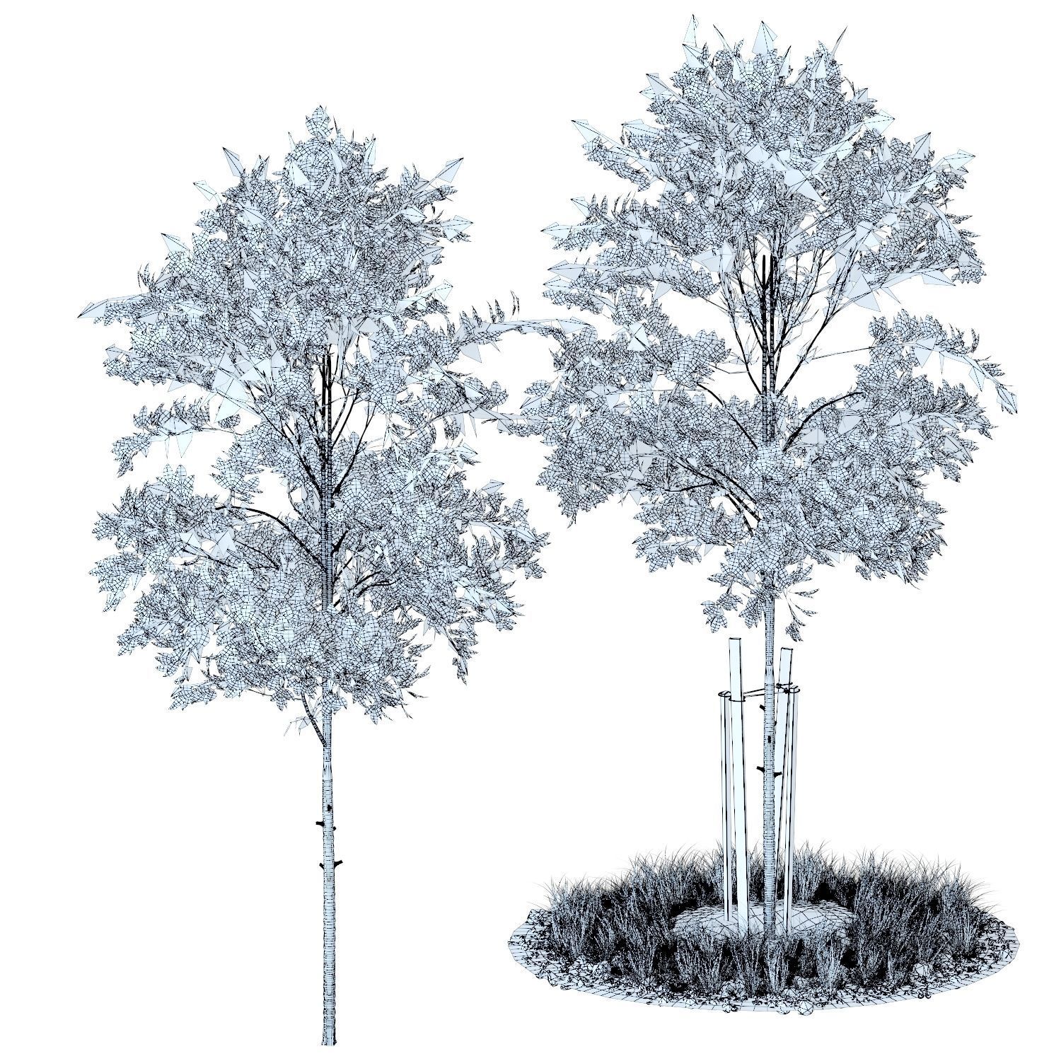 Young trees 01-04 3D Model Collection_42