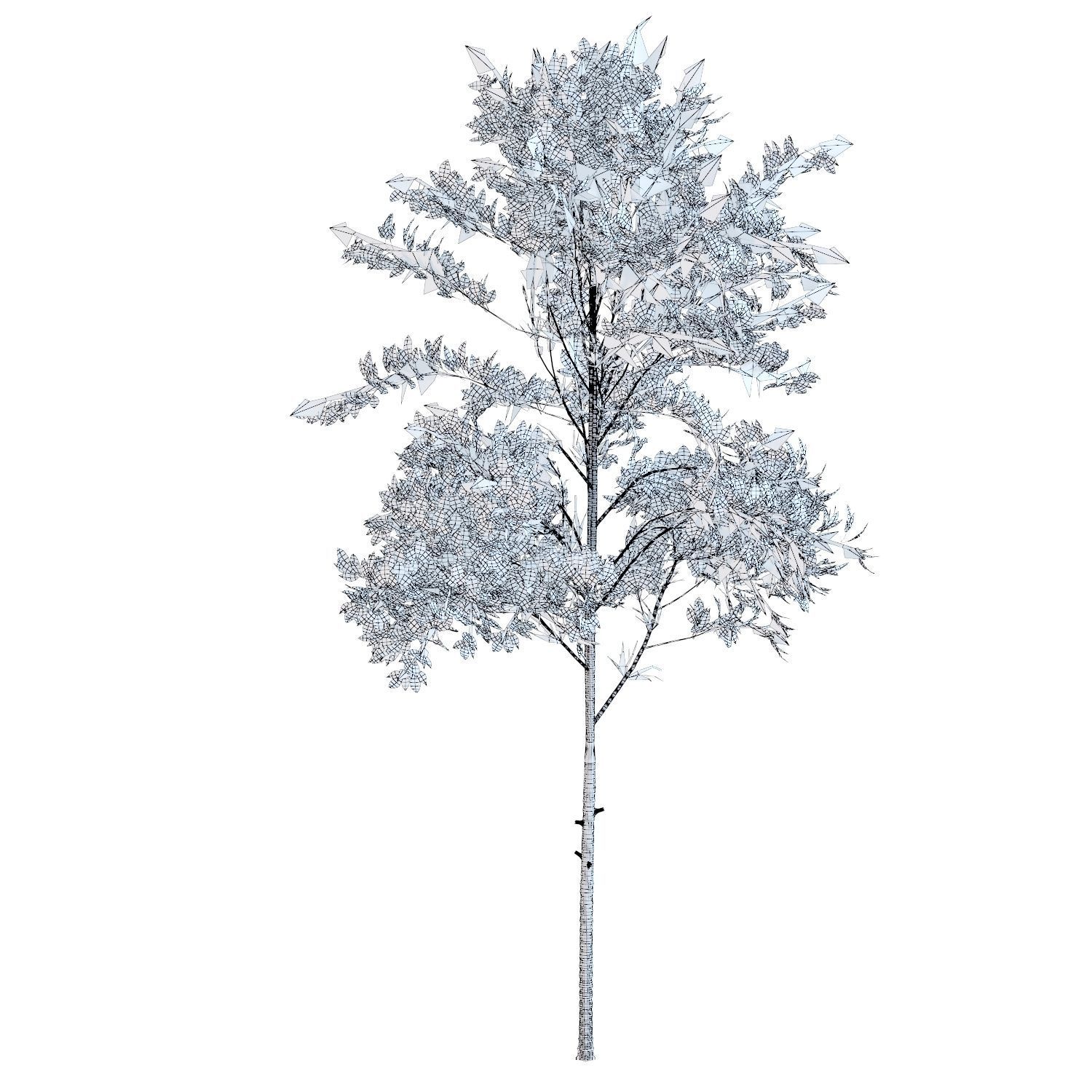 Young trees 01-04 3D Model Collection_34