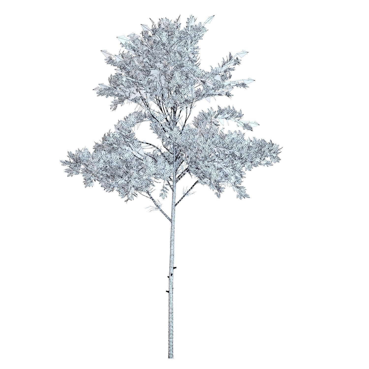 Young trees 01-04 3D Model Collection_21