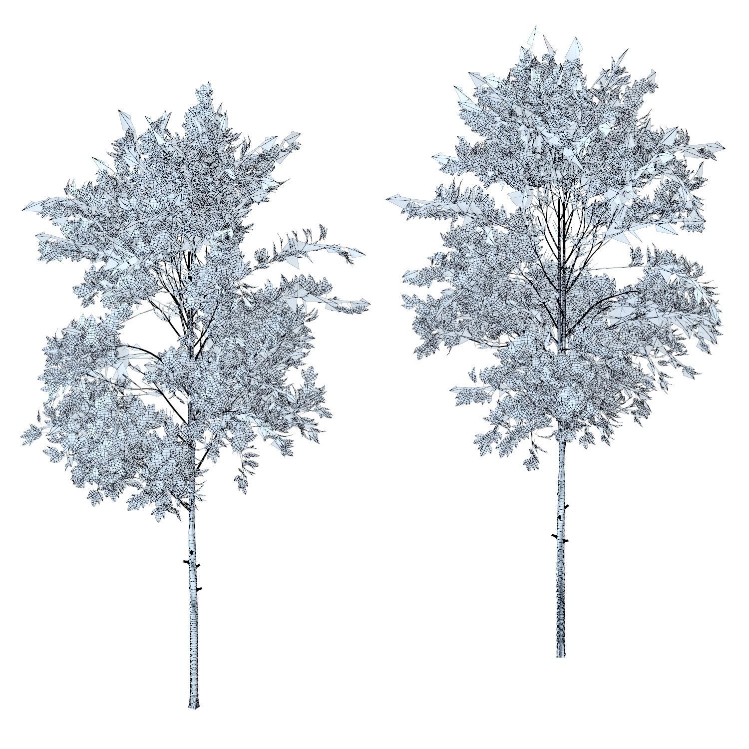 Young trees 01-04 3D Model Collection_41