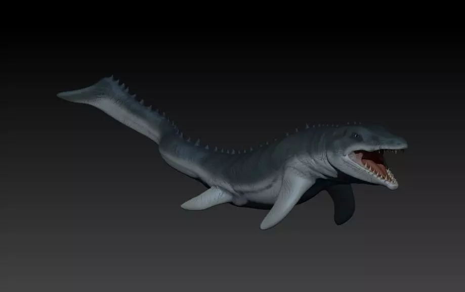 Mosasaurio shark 3D print model_0