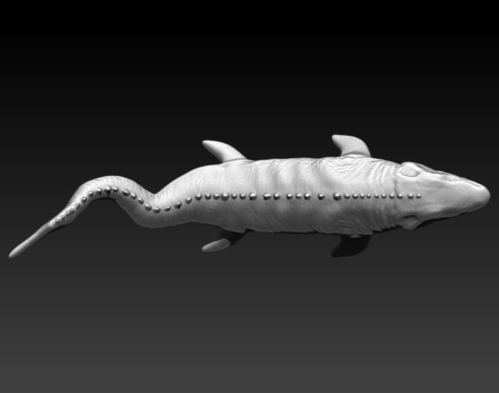 Mosasaurio shark 3D print model_9
