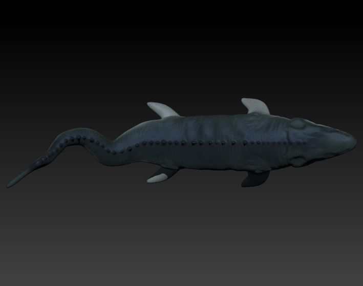 Mosasaurio shark 3D print model_3
