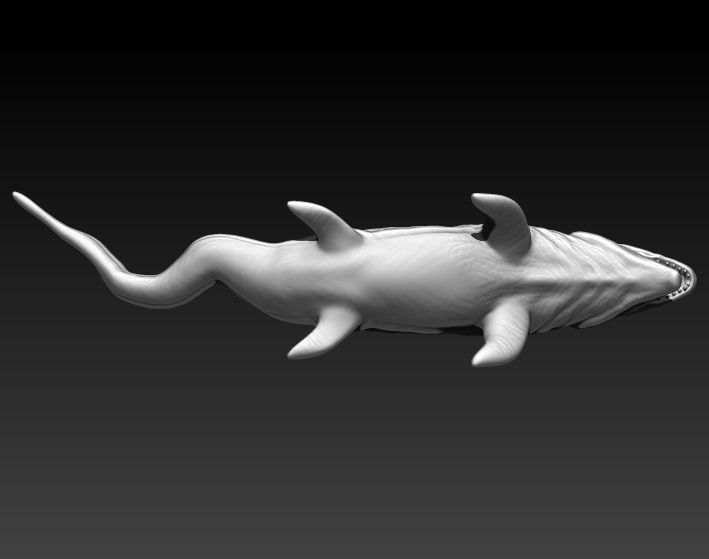 Mosasaurio shark 3D print model_10