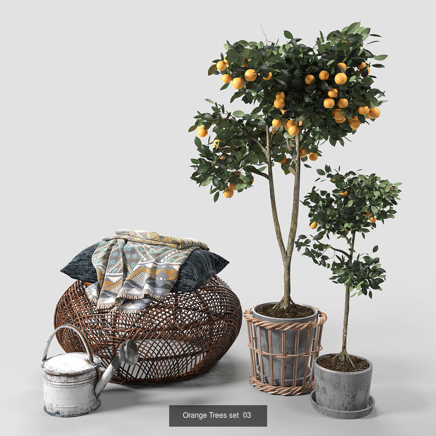 Orange Trees set 01-03 3D Model Collection_3