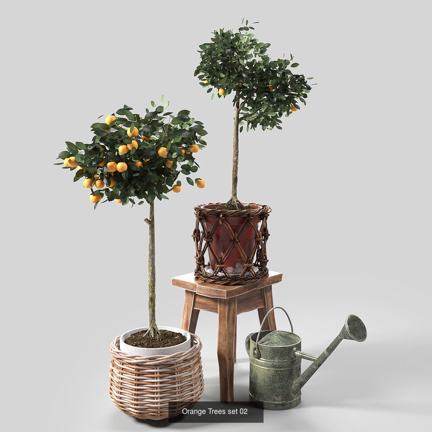 Orange Trees set 01-03 3D Model Collection_2