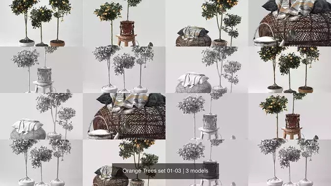 Orange Trees set 01-03