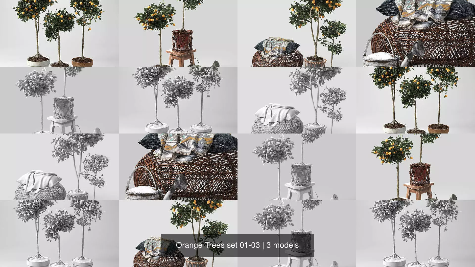 Orange Trees set 01-03 3D Model Collection_0