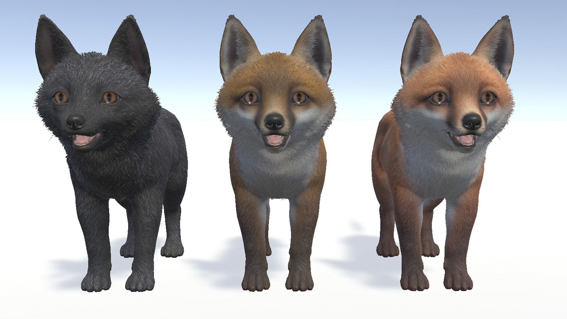 Fox - Cub Low-poly 3D model_8