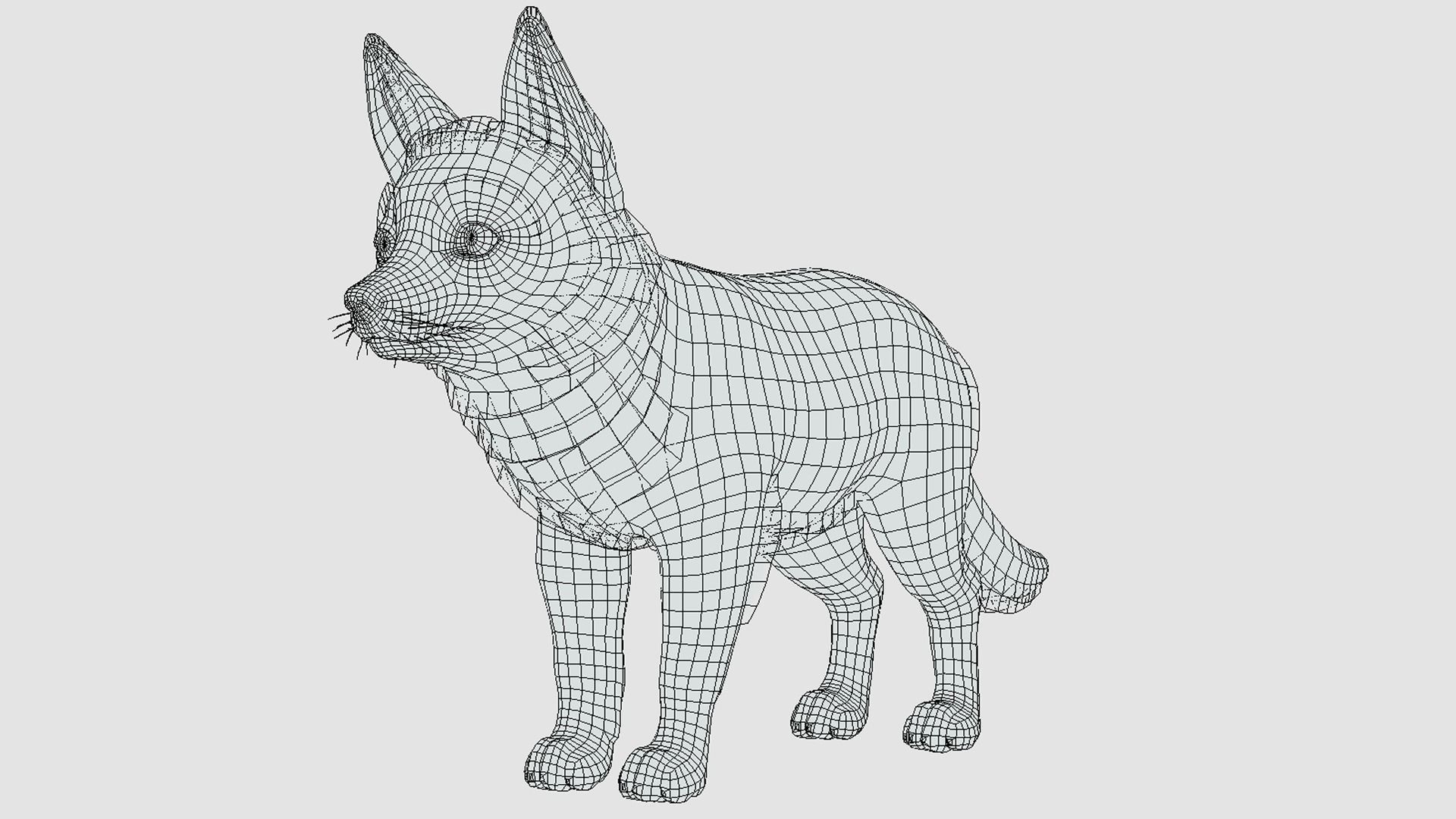 Fox - Cub Low-poly 3D model_15