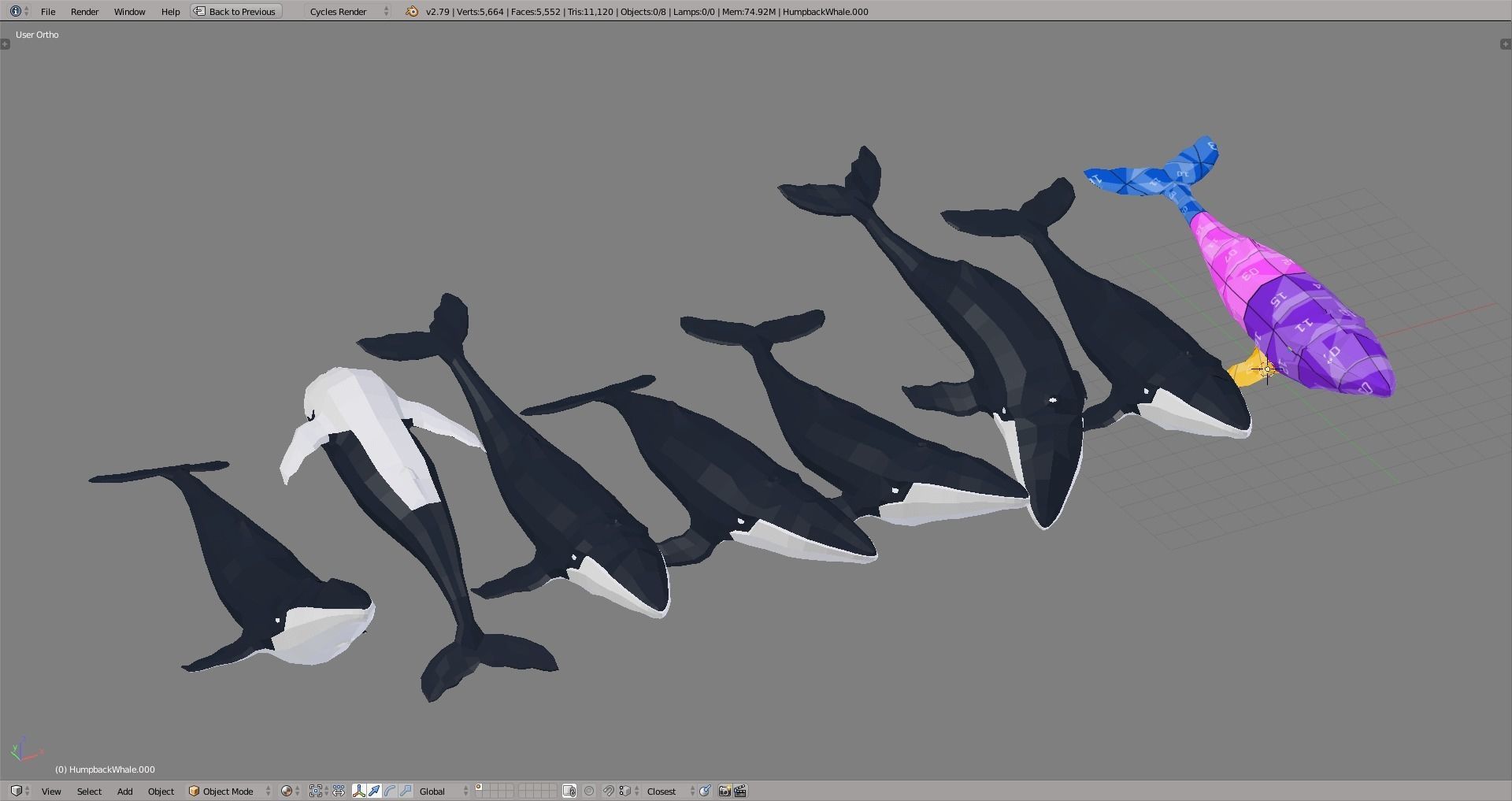 Humpback Whale Low-poly 3D model_5
