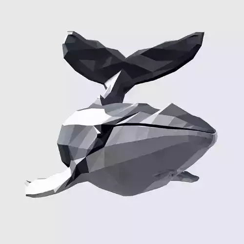 Humpback Whale Low-poly 3D model