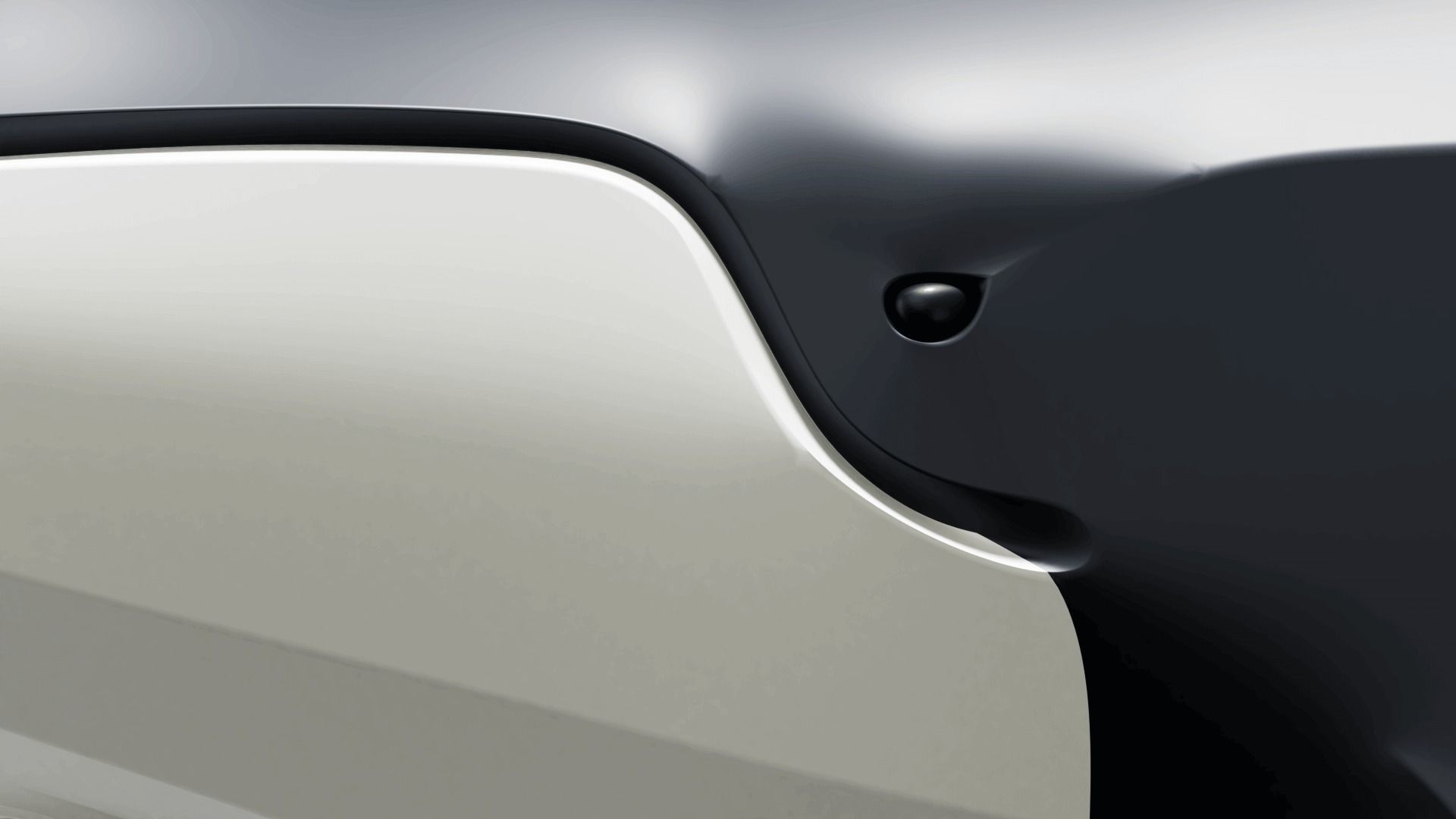 Humpback Whale Low-poly 3D model_2