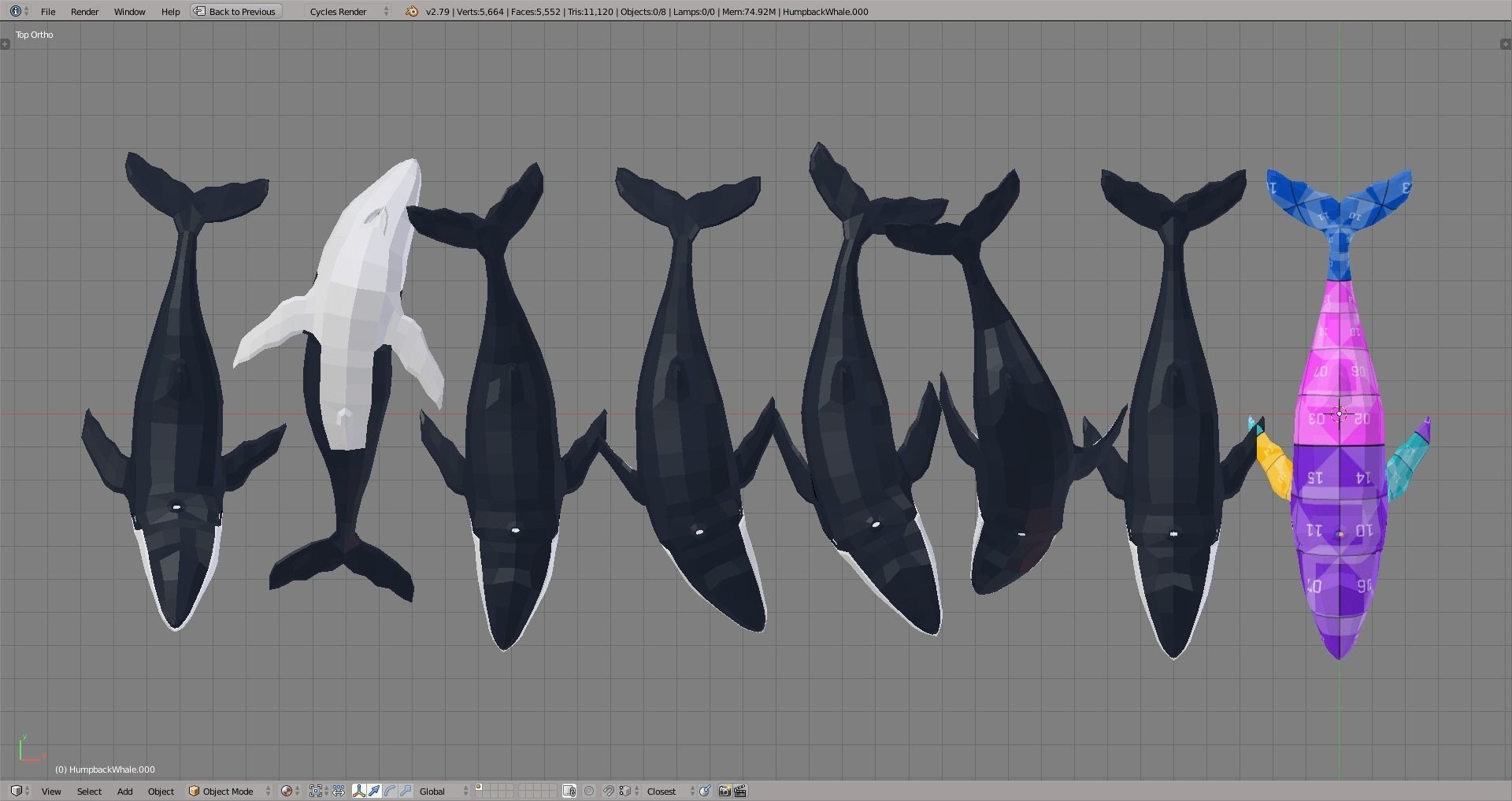 Humpback Whale Low-poly 3D model_6