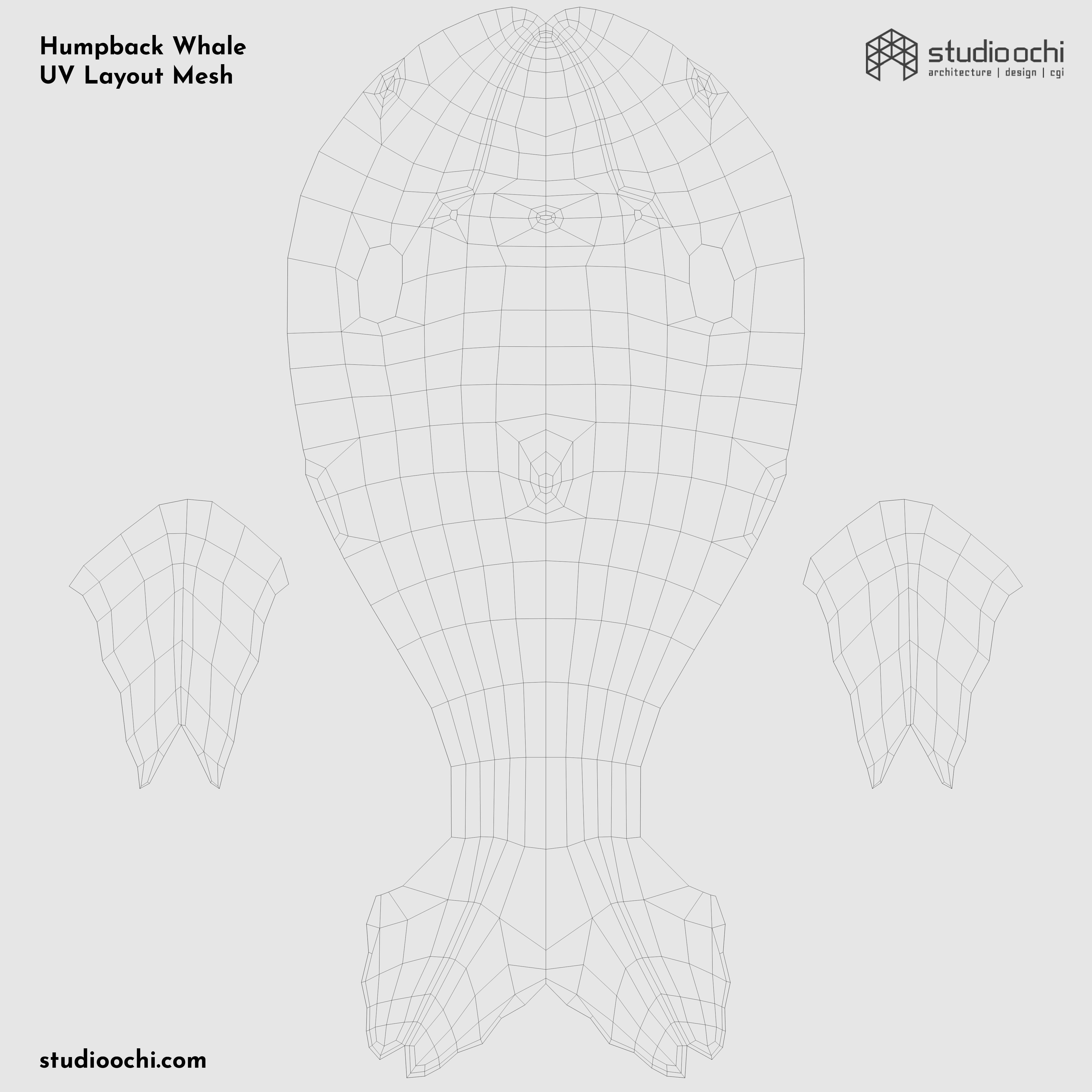 Humpback Whale Low-poly 3D model_1