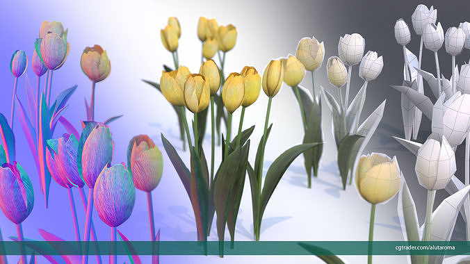 Tulips very LOW POLY detailed textures 63 variations Low-poly 3D model