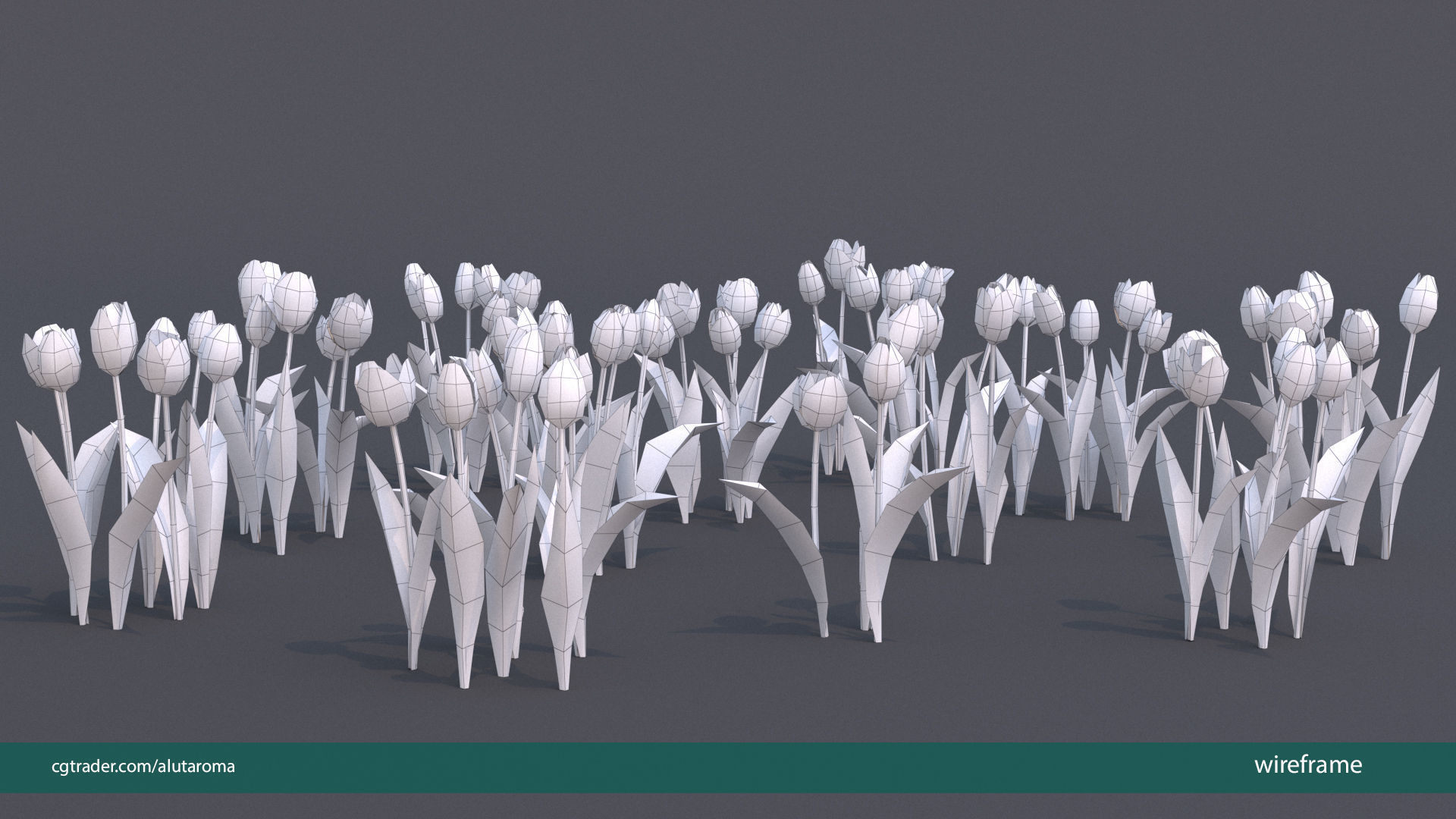 Tulips very LOW POLY detailed textures 63 variations Vray Low-poly 3D model_19