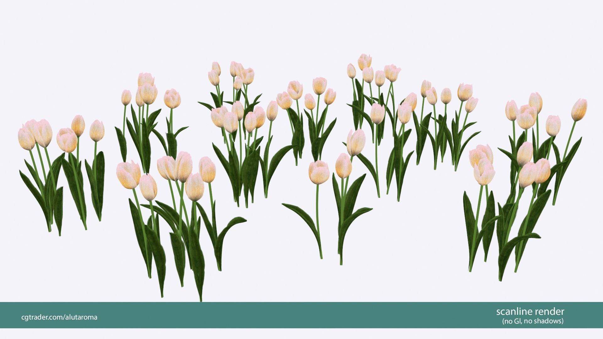 Tulips very LOW POLY detailed textures 63 variations Vray Low-poly 3D model_10