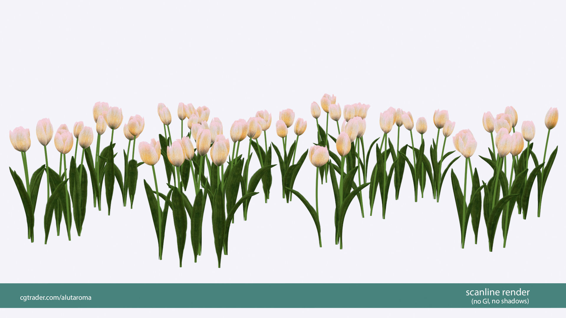 Tulips very LOW POLY detailed textures 63 variations Vray Low-poly 3D model_20