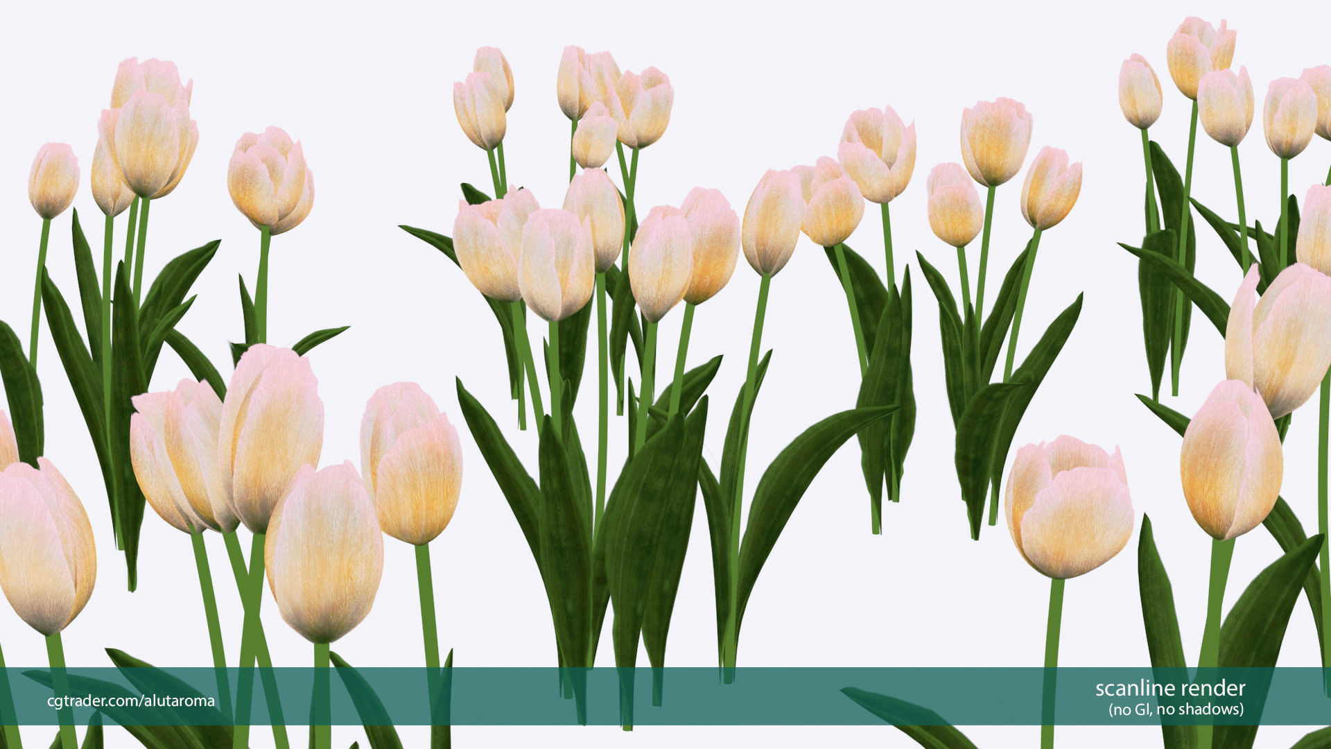 Tulips very LOW POLY detailed textures 63 variations Vray Low-poly 3D model_4