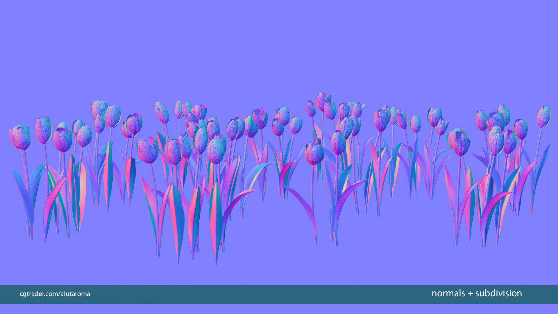 Tulips very LOW POLY detailed textures 63 variations Vray Low-poly 3D model_22