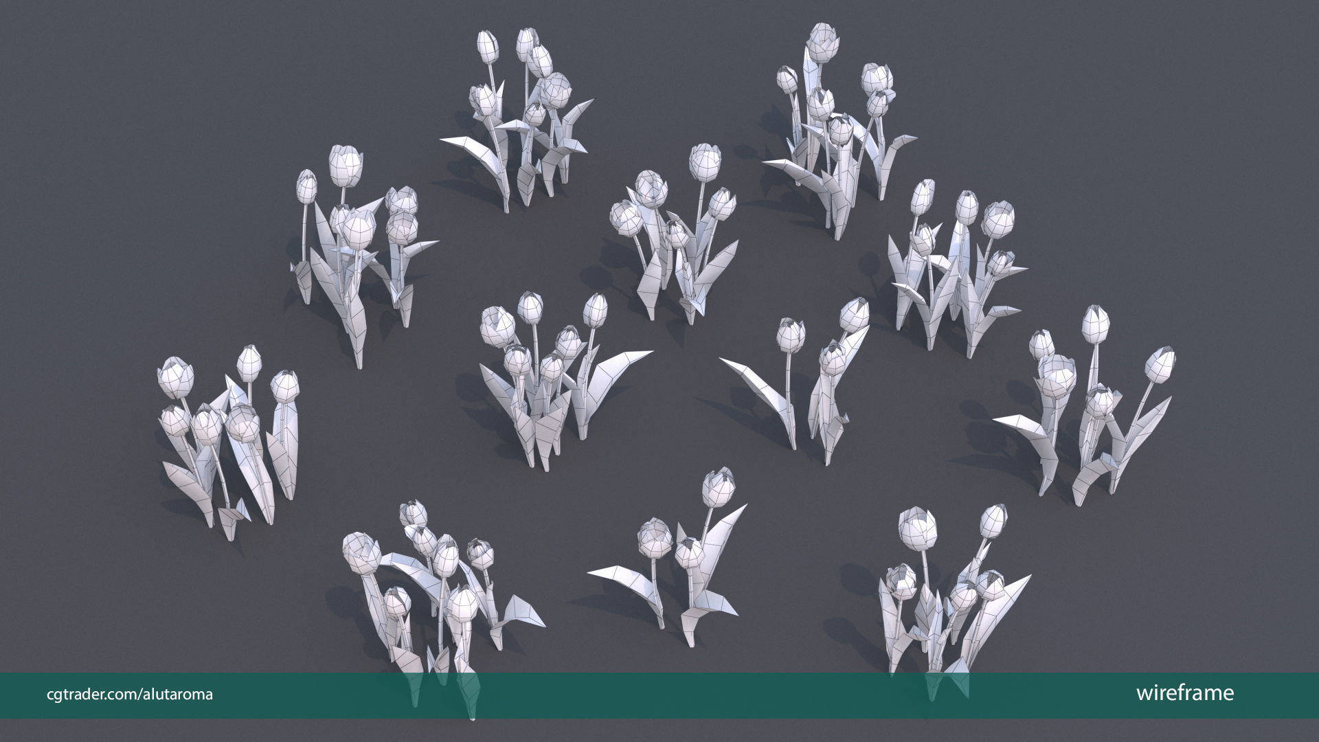 Tulips very LOW POLY detailed textures 63 variations Vray Low-poly 3D model_14