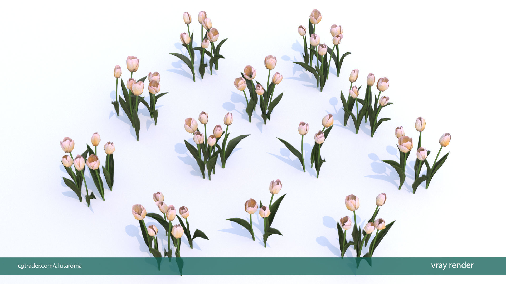Tulips very LOW POLY detailed textures 63 variations Vray Low-poly 3D model_16