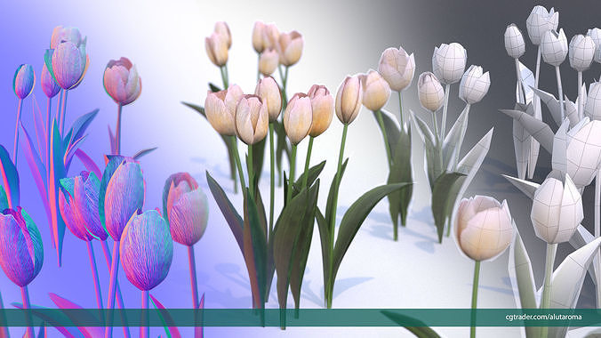 Tulips very LOW POLY detailed textures 63 variations Vray Low-poly 3D model