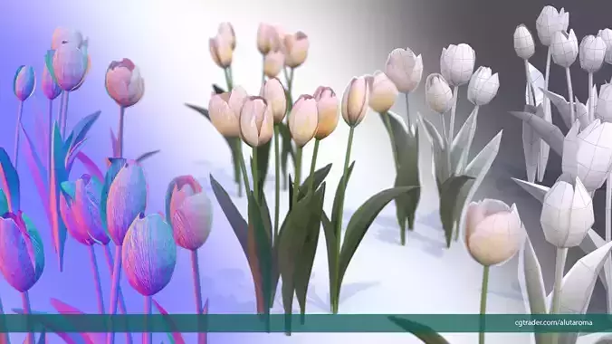 Tulips very LOW POLY detailed textures 63 variations Vray Low-poly 3D model