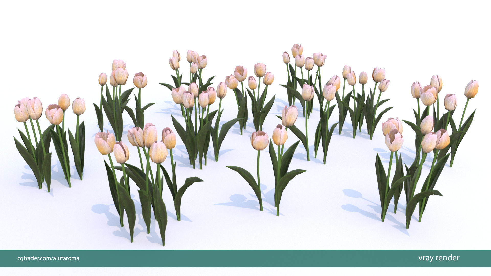 Tulips very LOW POLY detailed textures 63 variations Vray Low-poly 3D model_11