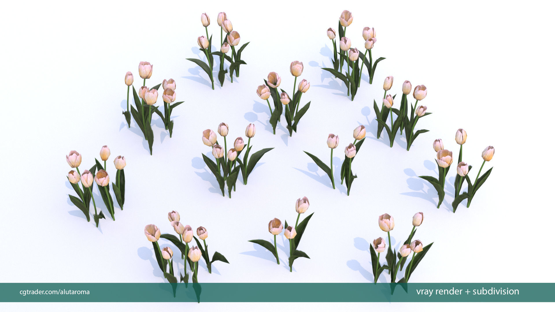 Tulips very LOW POLY detailed textures 63 variations Vray Low-poly 3D model_13