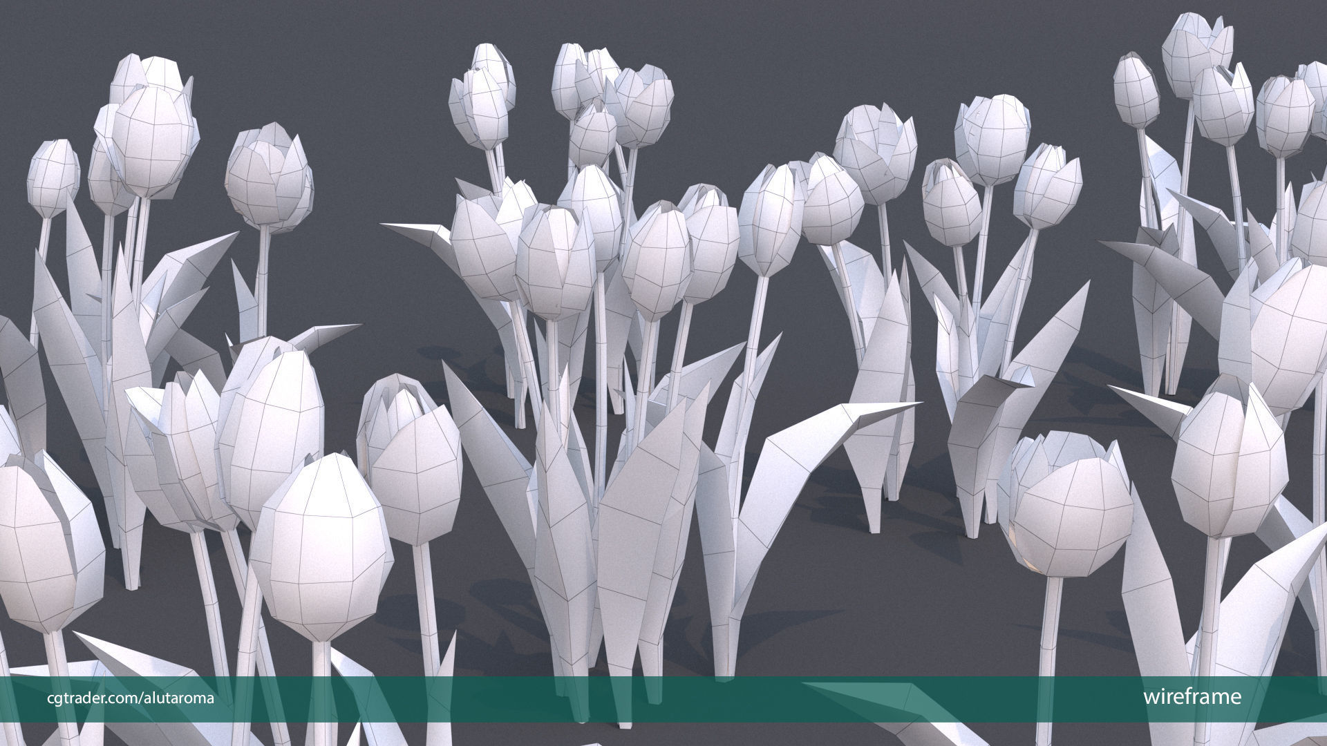 Tulips very LOW POLY detailed textures 63 variations Vray Low-poly 3D model_3