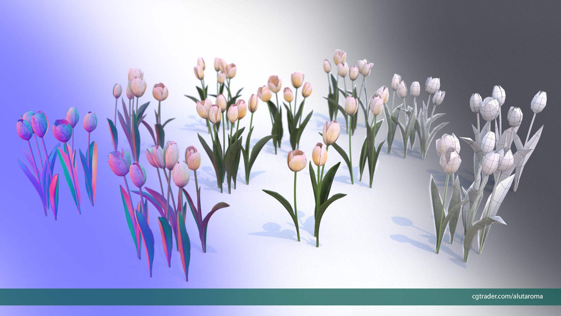 Tulips very LOW POLY detailed textures 63 variations Vray Low-poly 3D model_1