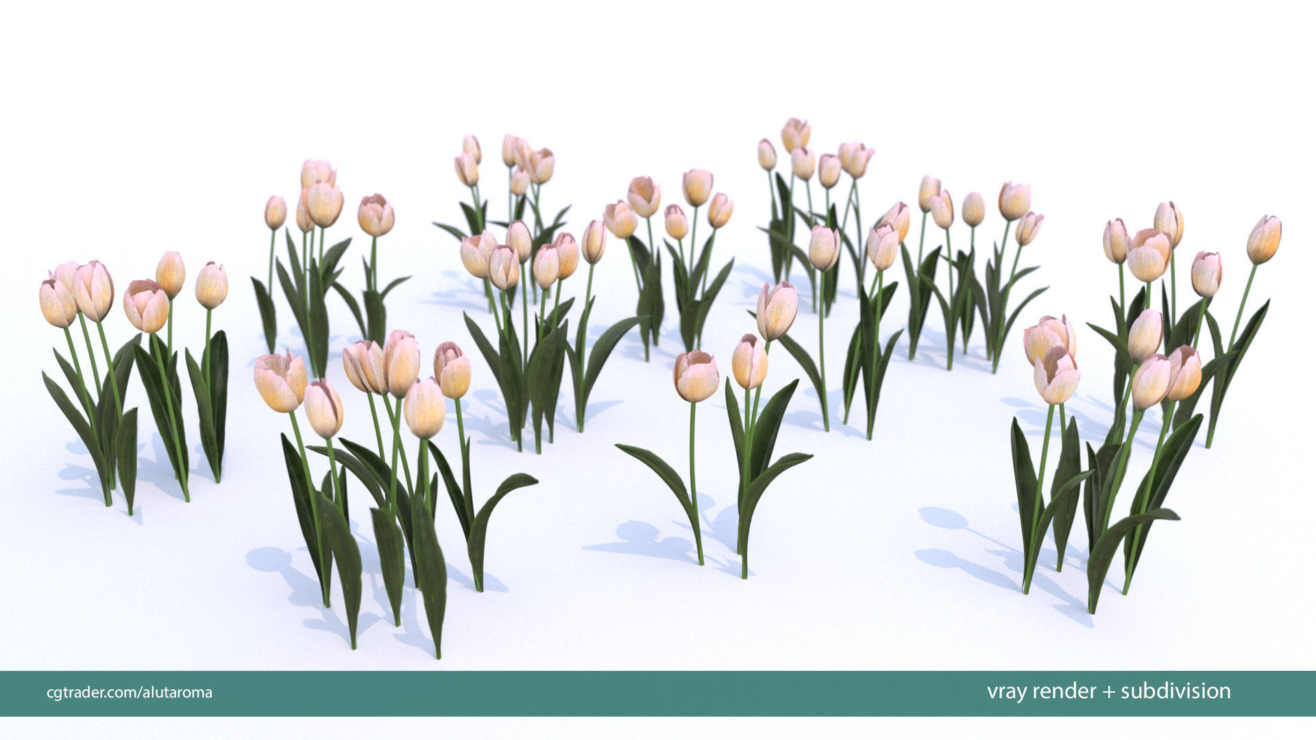 Tulips very LOW POLY detailed textures 63 variations Vray Low-poly 3D model_8
