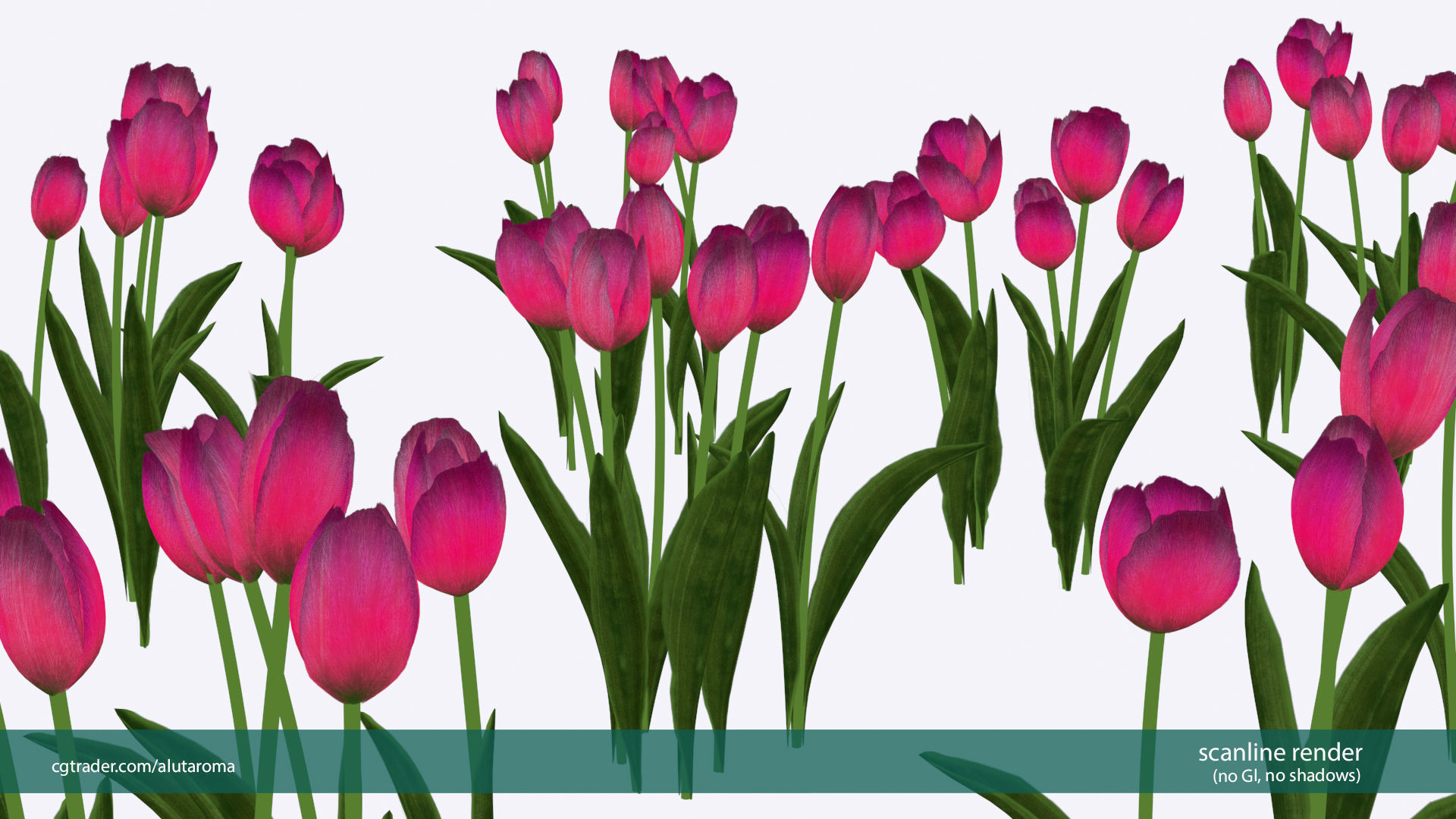 Tulips very LOW POLY detailed textures 63 variations  Low-poly 3D model_4